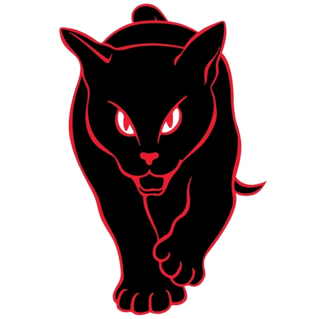 Sunderland Black Cat Spot Wall Sticker - 60cm height x 40cm width