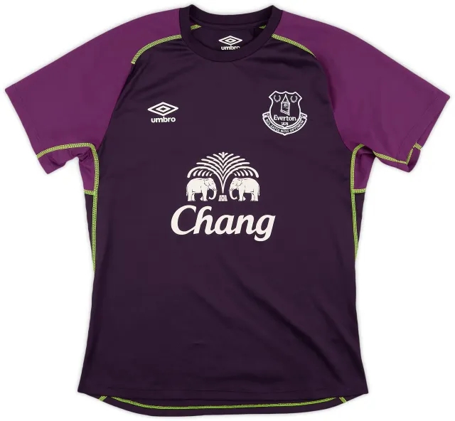 2014-15 Everton Umbro Training Shirt - 8/10 - (M)