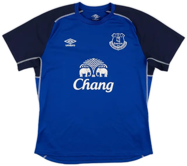 2014-15 Everton Umbro Training Shirt - 8/10 - (L)
