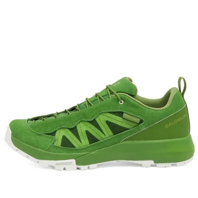 Salomon Alpinway Sp2 Phileo