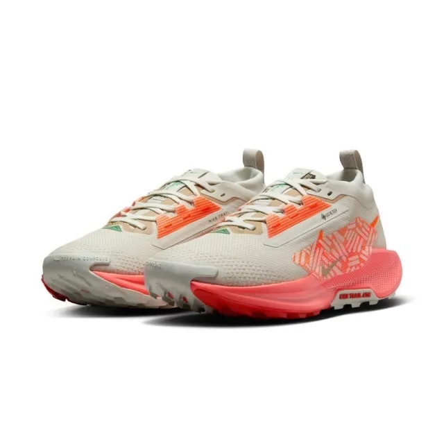 Nike Running Shoe Pegasus Trail 5 Gore-Tex - ['Silver']