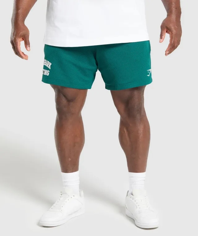 Gymshark Lifting Mesh 7 Shorts - Motivate Teal