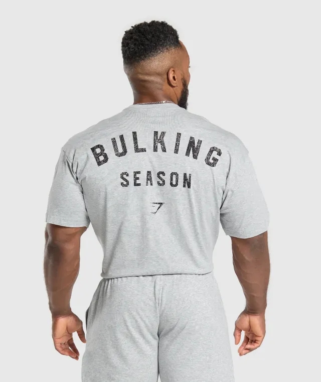 Asics Bulking Season T-Shirt - Light Grey Core Marl