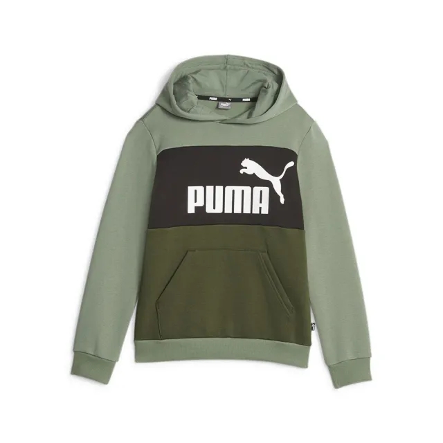 Puma Ess Block Fl Hoodie