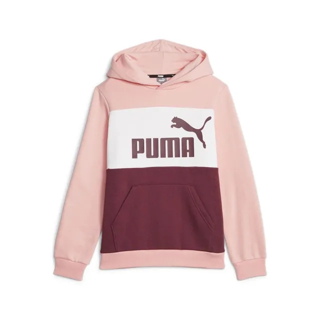 Puma Ess Block Fl Hoodie