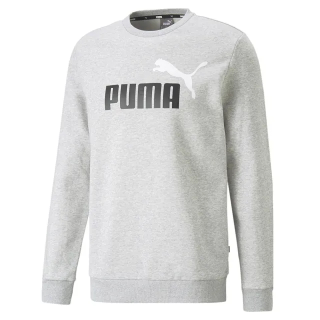 Puma Ess+ 2 Col Big Logo Hoodie