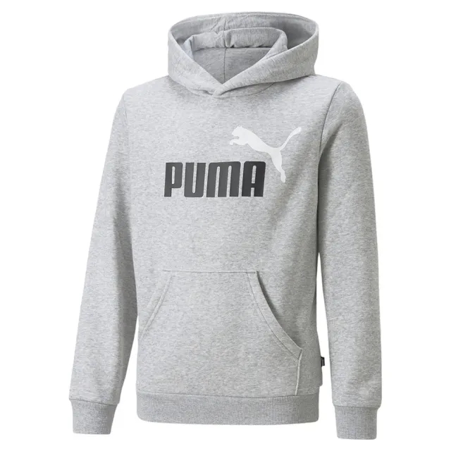 Puma Ess+ 2 Col Big Logo Fl B Hoodie