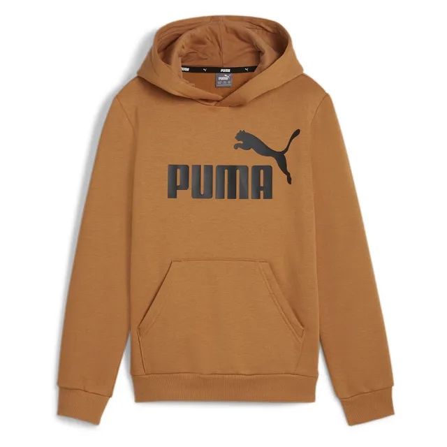 Puma Ess Big Logo Hoodie