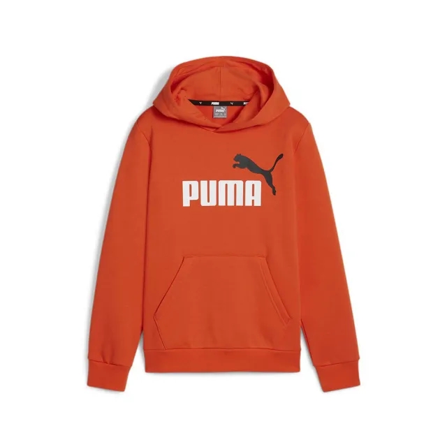 Puma Ess+ 2 Col Big Logo Hoodie