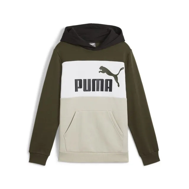 Puma Ess Block Hoodie