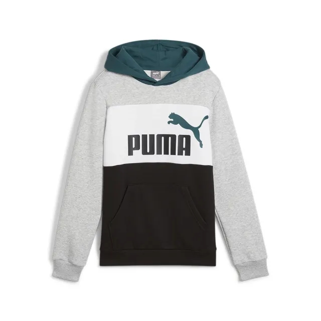 Puma Ess Block Hoodie