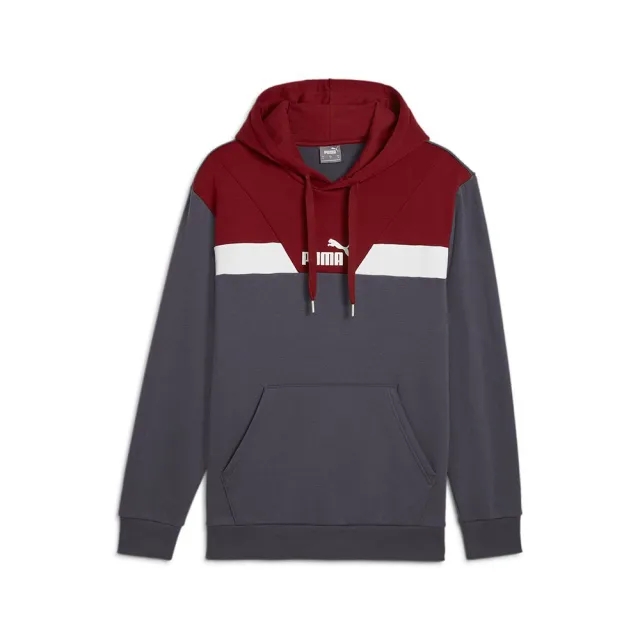 Puma Power Colorblock Hoodie