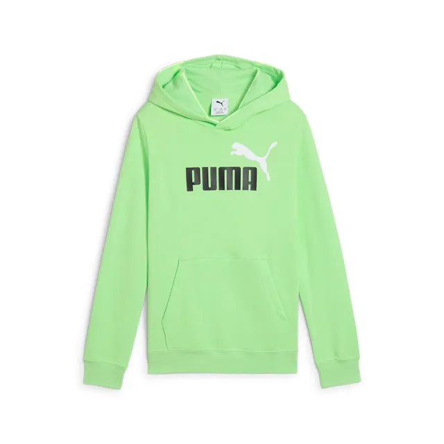 Puma Ess 2 Color Nº1 Logo Hoodie