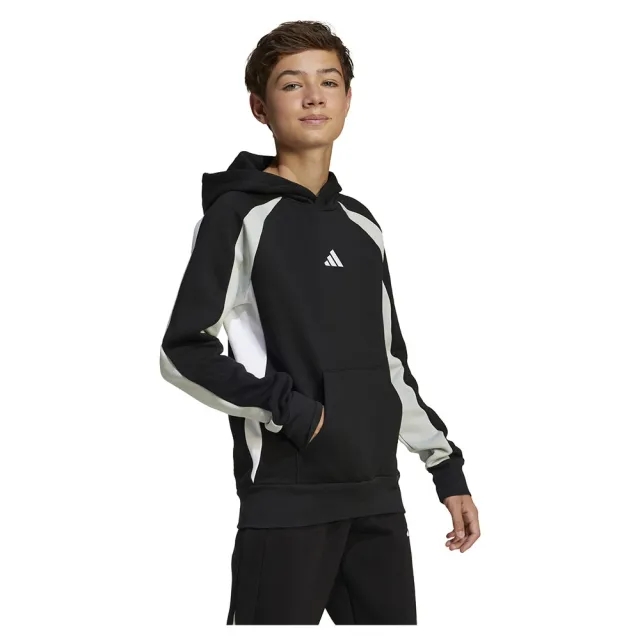 Adidas Seasonal Essentials Colorblock Fleece Hoodie