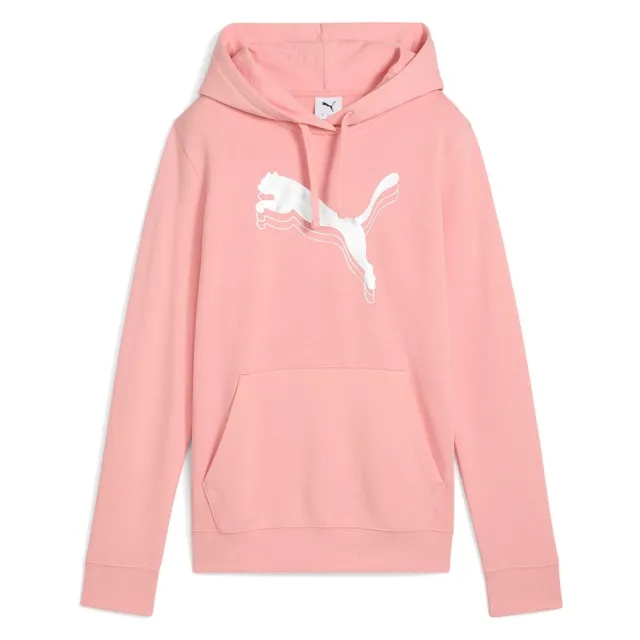 Puma Select Ess Metallic Regular Fit Hoodie
