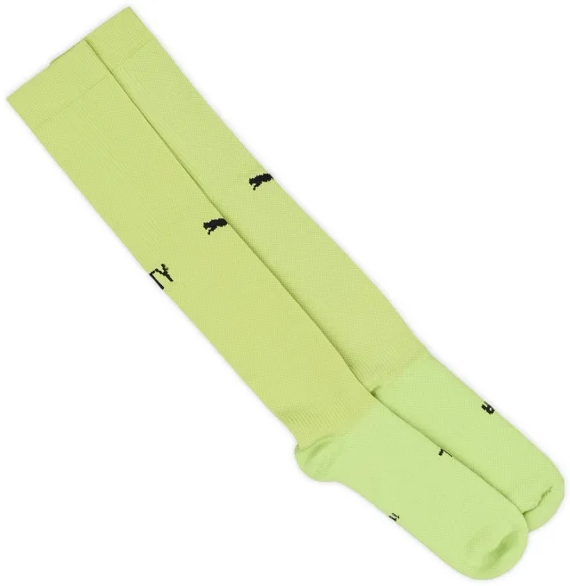 Puma 2023-24 Melbourne City GK Socks (EU 42-46)