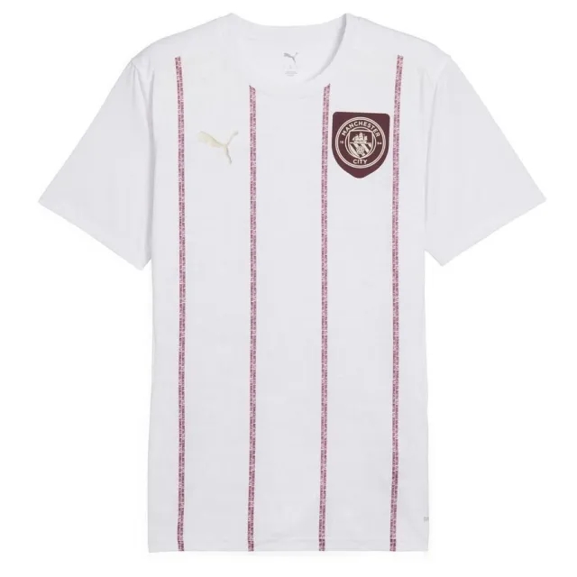 Puma Manchester City Training T-Shirt Pre Match - ['White']