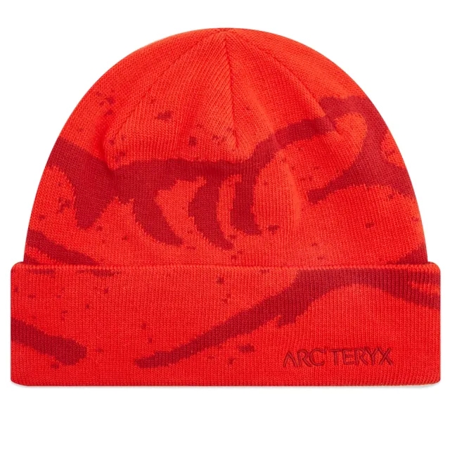 Arcteryx Grotto Toque Dynasty/Dark Dynasty