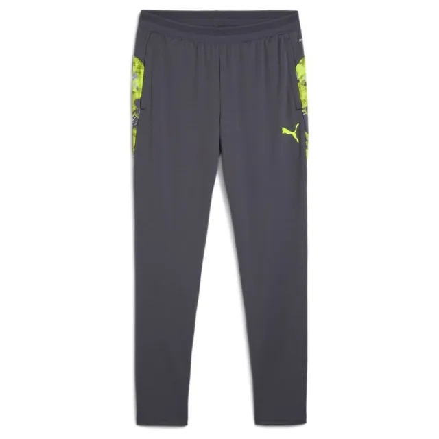 PUMA Individualcup Football Pants Men, Galactic Grey