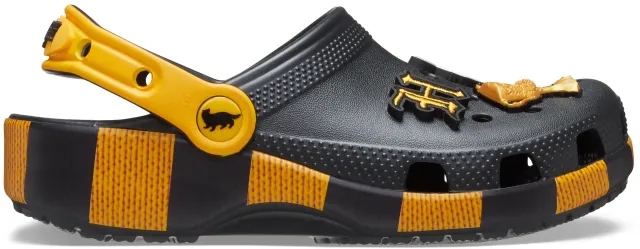 Crocs | Kids | Toddlers Harry Potter Hufflepuff Classic | Clogs | Multi | C10