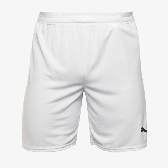 Puma teamCUP 25 Shorts