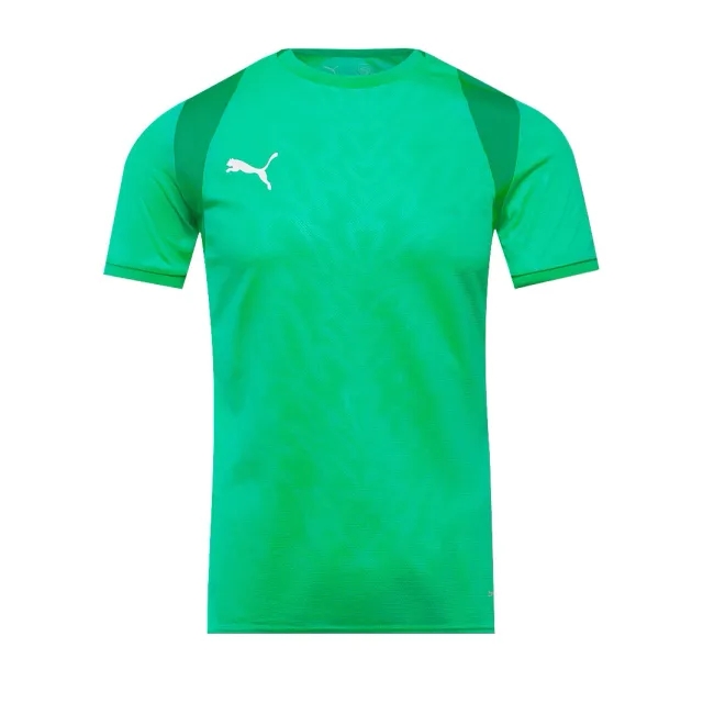 Puma teamCUP 25 SS Shirt