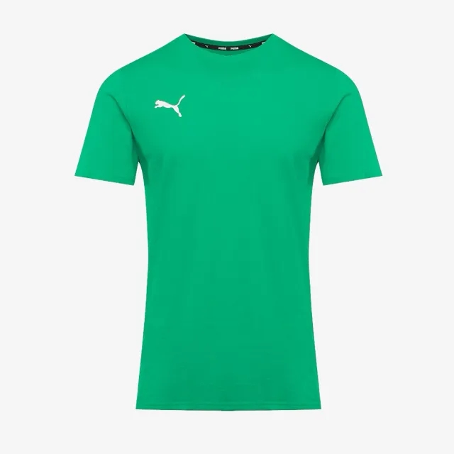 Puma teamGOAL 25 Casuals SS Tee