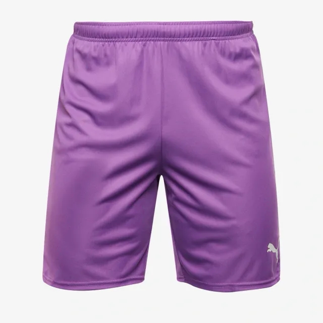 Puma teamGOAL 24 Shorts