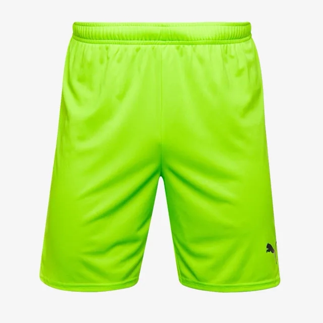 Puma teamGOAL 24 Shorts