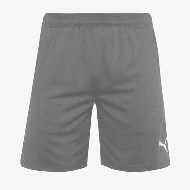 Puma teamCUP 25 Training Shorts