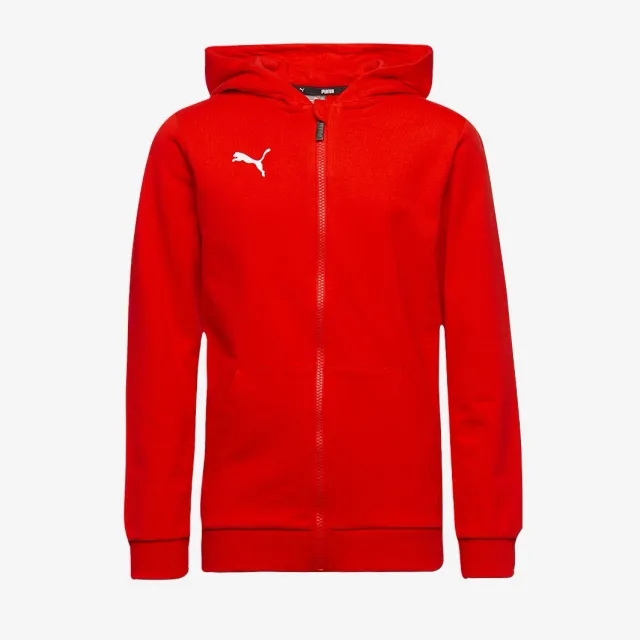 Puma Junior teamGOAL 25 Casuals Hooded Jacket