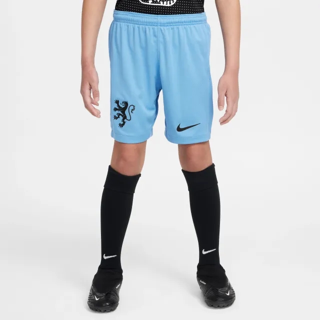 Netherlands 2025/26 Stadium Away Older Kids' Nike Dri-FIT Football Replica Shorts - Blue - Polyester