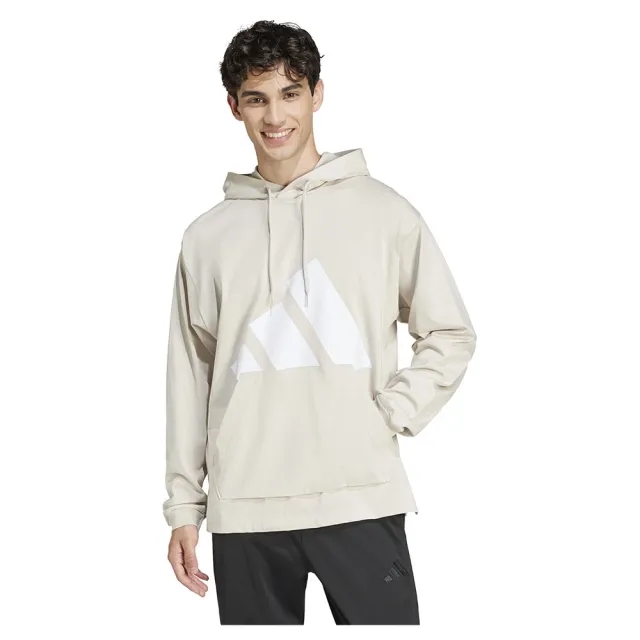 Adidas Essentials Big Logo Single Jersey Hoodie