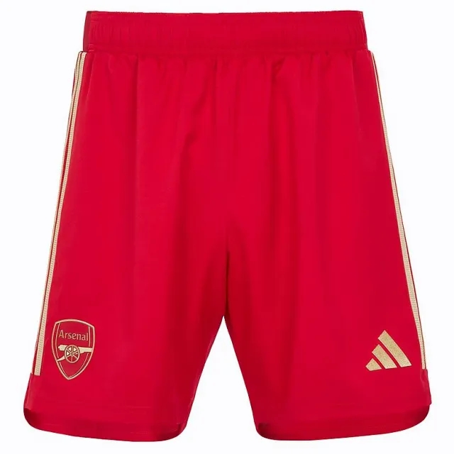 Arsenal 23/24 Authentic Alternate Home Shorts, Multicolor