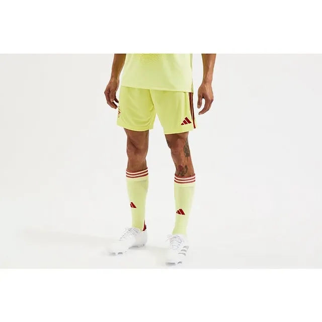 Arsenal adidas 25/26 Home Goalkeeper Shorts, Multicolor