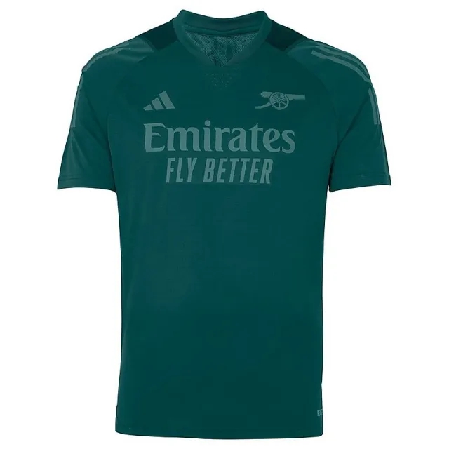 Arsenal 23/24 European Pro Training Shirt, Multicolor