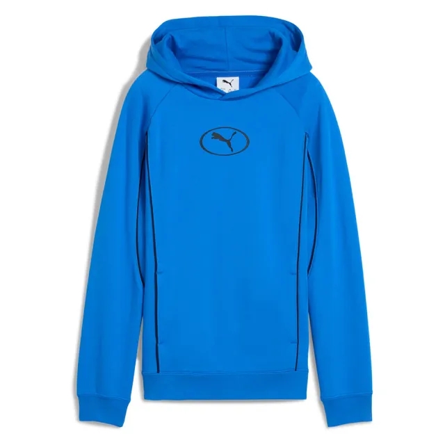 Puma Sport Hoodie