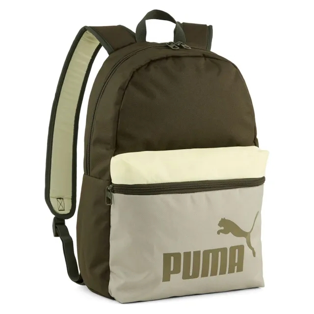 Puma Phase Color Block Backpack