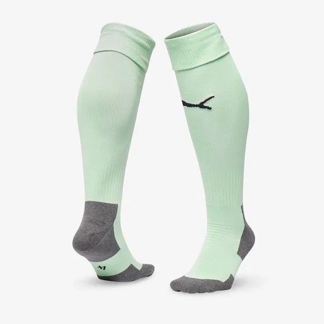 Puma teamLIGA Core Socks