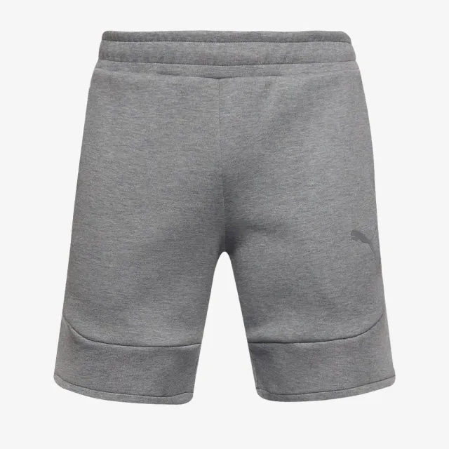 Puma teamEVOSTRIPE 25 Shorts