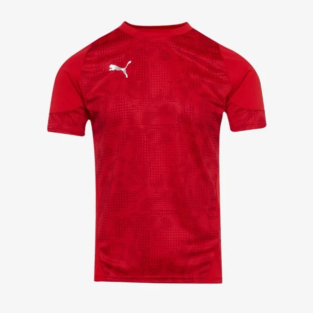 Puma teamCUP 25 Slim SS Training Shirt