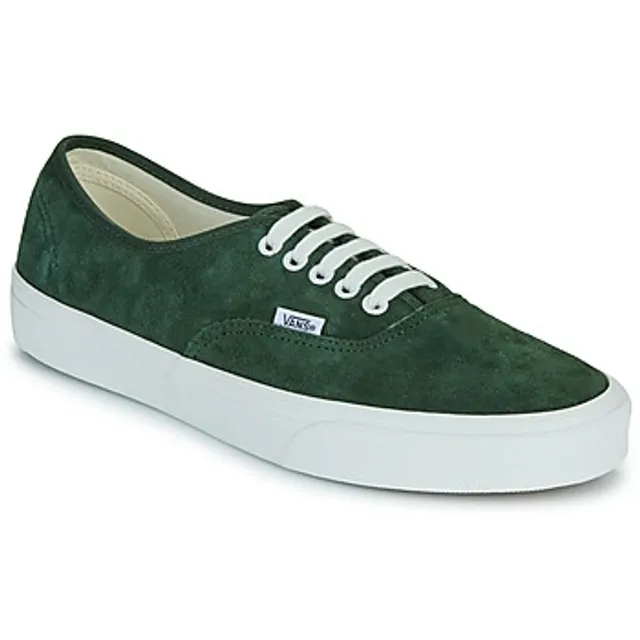 Vans  Authentic  men's Shoes (Trainers) in Green