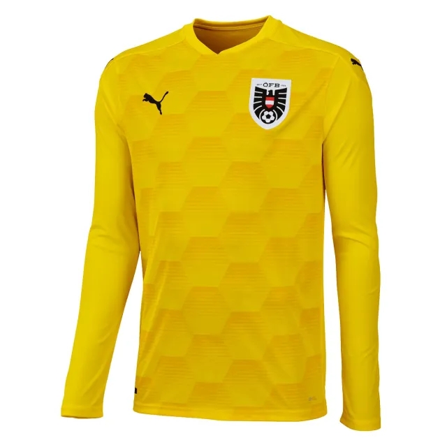 Puma Austria GK Shirt 2020-2021