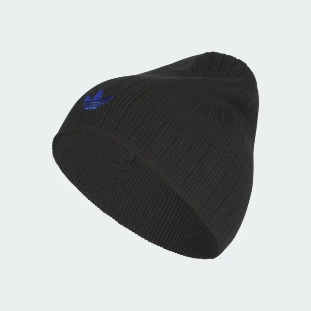 adidas Skateboarding Beanie