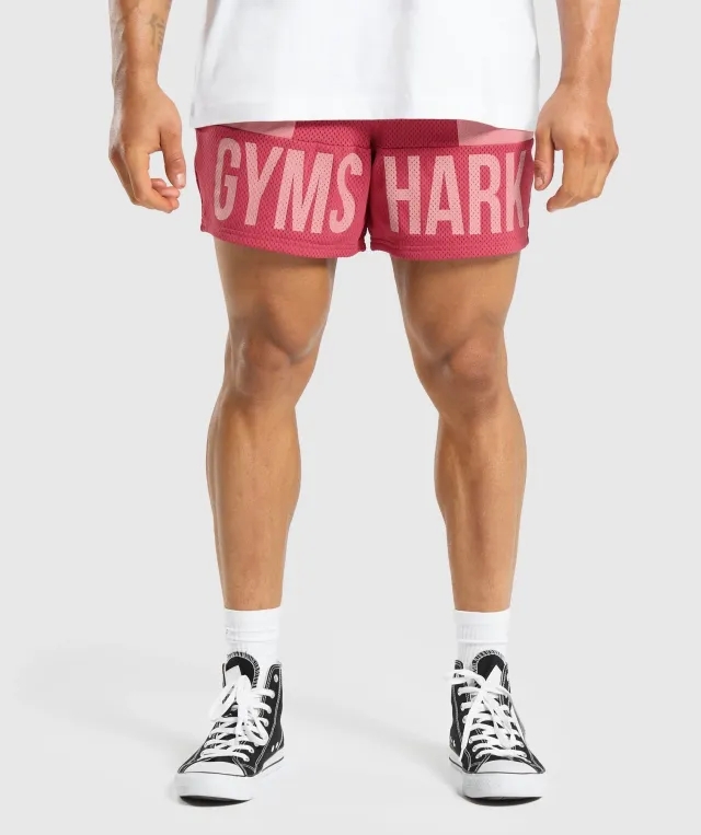  Brandmark Mesh 5" Shorts - Vintage Pink/Classic Pink