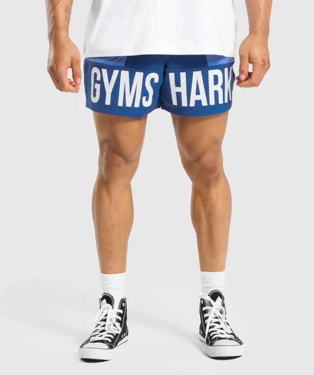  Brandmark Mesh 5" Shorts - Wave Blue/Iris Blue