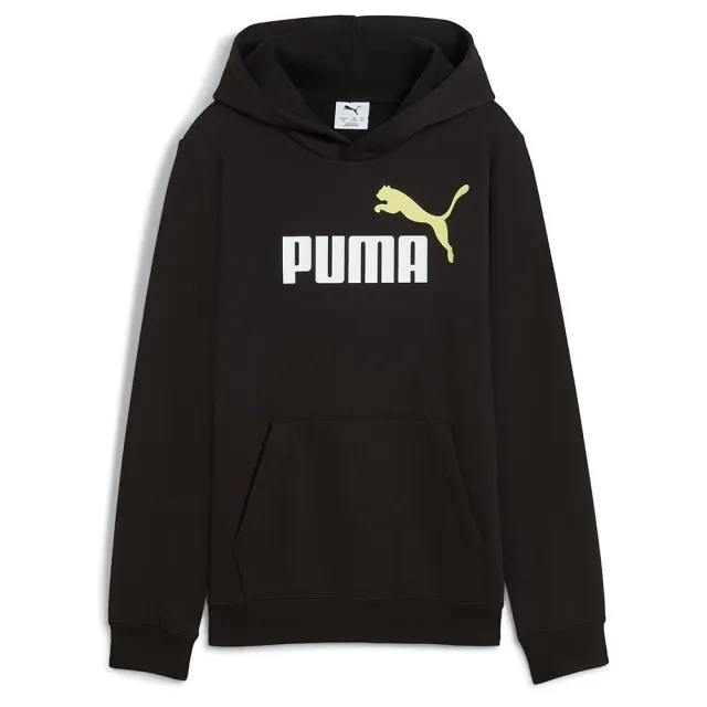 Puma Ess 2 Color Nº 1 Logo Hoodie