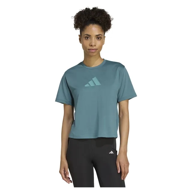 Adidas Train Essentials Big Logo Performance Training Short Sleeve T-shirt