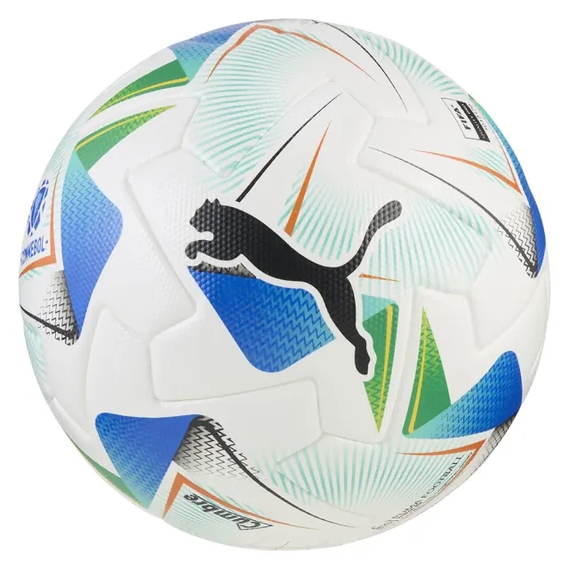 Puma Cumbre Conmebol Fifa Quality Pro Football Ball