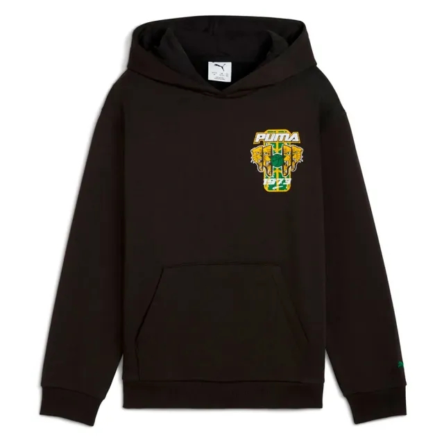 Puma Basketball Hoopstellations Hoodie